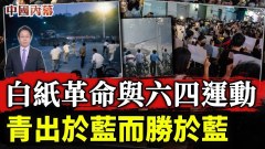 民众挖到根了白纸革命比六四运动是青出于蓝而胜于蓝(视频)