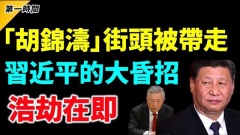 驚街頭再現「胡錦濤」被帶走一段視頻瘋傳(視頻)