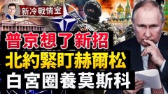 北約作戰飛機緊盯赫爾松美國點燈熬油耗普京(視頻)