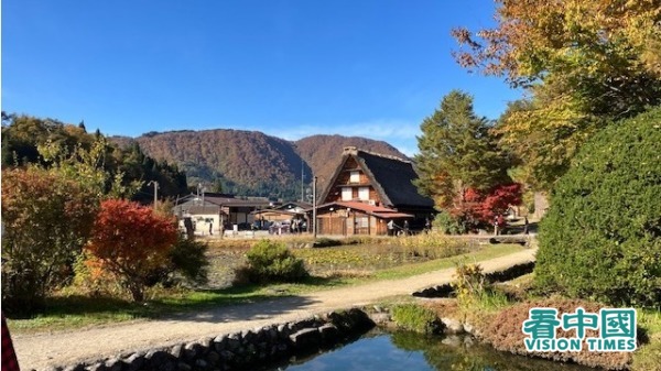 世界文化遗产日本白川乡合掌村 自然景色