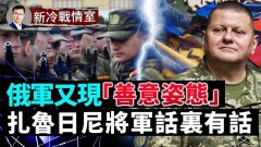 頓巴斯前線俄軍被打回原形；普京的重砲猛轟光鮮不再(視頻)