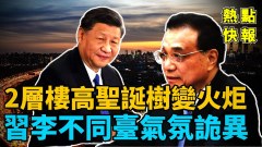 上海2层楼高圣诞树秒变火炬浓烟直冲楼顶(视频)