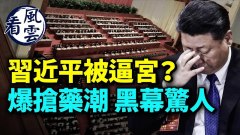 習近平恐被黨內逼宮習李矛盾公開化李克強：不奉陪(視頻)