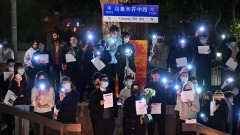自由之家：中国反共抗议实际比看到的多(图)