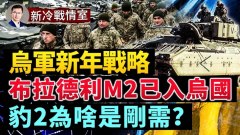 烏克蘭新年戰略：收復盧甘斯克包抄頓涅茨克城(視頻)