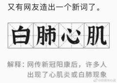 中共“白肺心机”刘心武：一夜开启地狱模式(组图)