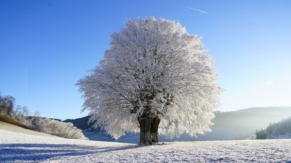 古人视“冬至”为历书中一年来的首日。