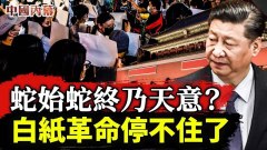 「白紙革命」首戰告捷習近平當局對民眾做出了讓步(視頻)