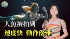 玩水遇人鱼表情恐怖以为自己死定了(视频)
