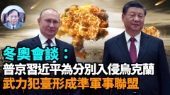 【谢田时间】北约重新定位迫在眉睫西方各国为啥硬不起来(视频)