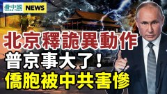 出大錯普京震怒恐動用核武；中共醜出國際害慘僑胞(視頻)