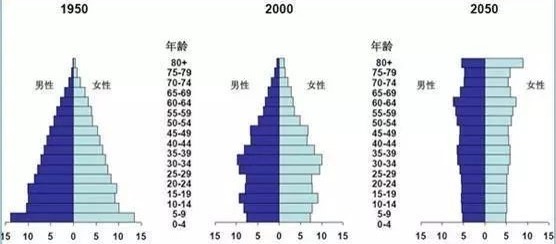 IMF作出的中國人口年齡結構變化資料
