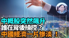 【謝田時間】中概股突然飆升被神秘背後勢力操控(視頻)