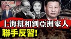 上海帮和刘亚洲家人联手反习反习派再发“政变”信号(视频)