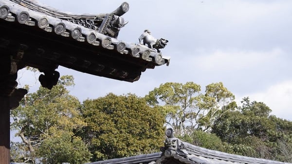 日本东大寺戒坛院的垂兽、戗兽及相邻建筑物的望兽。