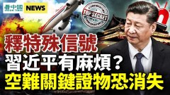 中共隐瞒空难最关键证物专家曝东航坠机极不正常原因(视频)