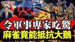 令軍事專家感到吃驚俄羅斯損失慘重六點原因(視頻)