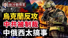 基輔俄軍被困烏克蘭南部戰火恐蔓延克里米亞(視頻)