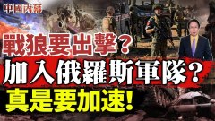 战狼要出击加入俄罗斯军队真是要加速(视频)