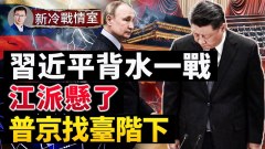 北京断尾求生嘴还硬国内险西方紧盯；习近平“战上海”(视频)