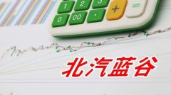 北汽蓝谷：每生产一辆电动车平均亏损82万元(图)
