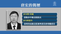 貴州省高級法院審判委員會官員唐宏被雙開(圖)