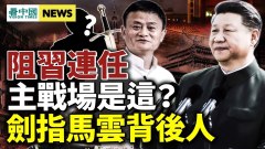 袁弓夷：这是阻习连任主战场；马云事没完传普京震怒(视频)