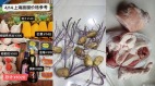 上海政府配發變質豬肉紫芽土豆外送價目意外曝光(組圖)