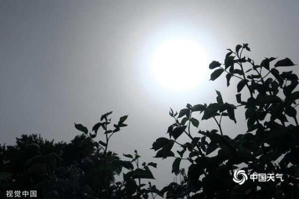 北京蓝太阳