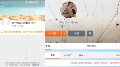 王思聪惹怒中共微博被炸号4000万粉丝没了(组图)