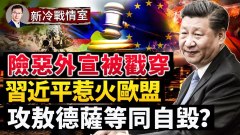 屠殺無辜俄國抵賴烏國和西方收集戰爭罪證據(視頻)