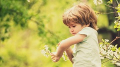 中国全国人大代表提案“全面消灭蚊子”遭网友揶揄(图)