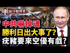 M777很不好搞疣豬要來制空權有戲(視頻)