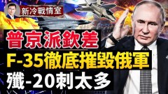 F-35陡現烏國邊境號稱「徹底摧毀俄軍隊」(視頻)