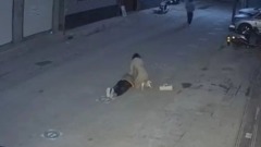 北京防疫医院不作为退伍军人32岁独子死亡(图)