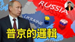 普京的邏輯(視頻)