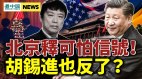 胡锡进质疑中央北京释可怕的信号(视频)