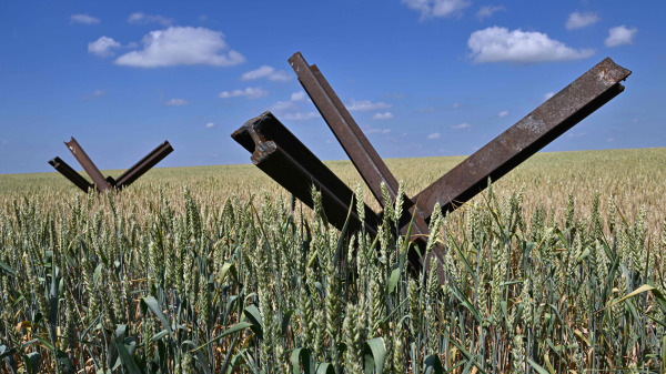 在俄罗斯入侵乌克兰战争期间，乌克兰南部城市尼古拉耶夫（Mykolaiv）地区一个农场的麦田上装设了反坦克障碍物以期保护小麦免遭俄罗斯军队的破坏。