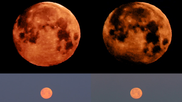 2020年5月7日（左）和2020年6月6日（右）观察到的“血月”（草莓月亮，超级月亮）