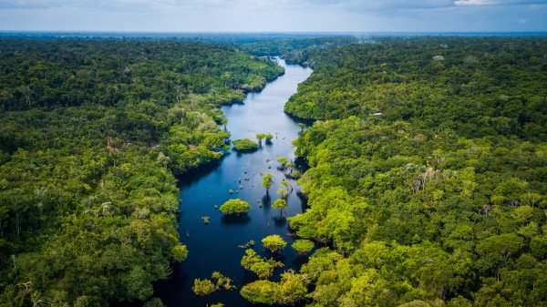 亞馬遜河