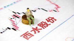 【A股乱象】肖建华的西水股份玩儿完了(图)