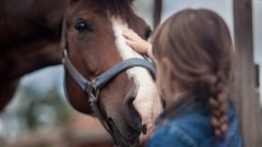 理解馬兒語言的女子馬兒溝通師(圖)