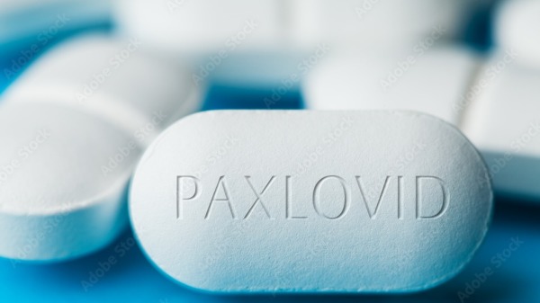  輝瑞COVID-19藥丸Paxlovid（圖片來源：Adobe Stock）