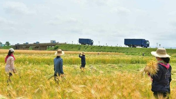 朝鲜谷仓黄海南道接连爆出不同的传染疾病，恐致农耕人力短缺，进而使农作歉收。