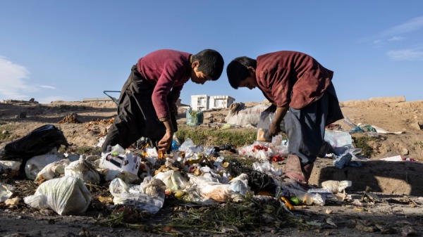 2021年12月9日，阿富汗赫拉特，7 岁的 Sardar Wali 和他 10 岁的兄弟 Fazil 在垃圾区收集要回收的物品。