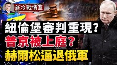 斷俄軍南部陸橋赫爾松要「完璧歸趙」(視頻)