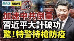 蓬佩奧願陪佩洛西訪臺美擬派航母護送(視頻)