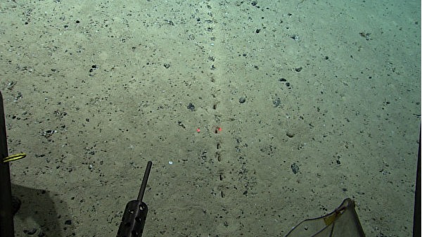美國國家海洋和大氣管理局的科學家於大西洋海底發現了一排神秘的洞，疑似人為的。