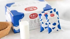 中国的奶制品业：又倒下一个装纯的……(图)
