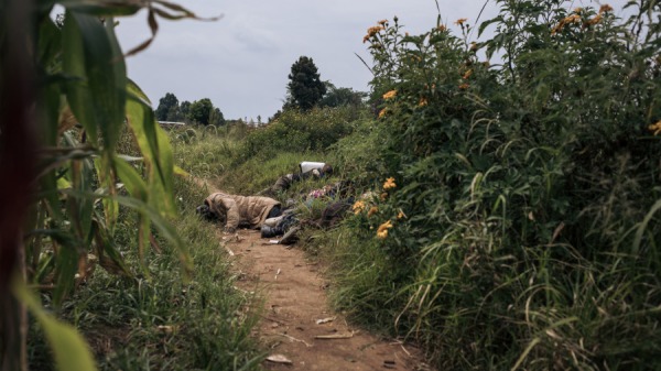 2021年12月19日，在距離剛果民主共和國東北部伊圖裡省會布尼亞60公里的 Dhedja，紅十字志願者在 Codeco 民兵的襲擊中躺在地上保護自己免受子彈傷害